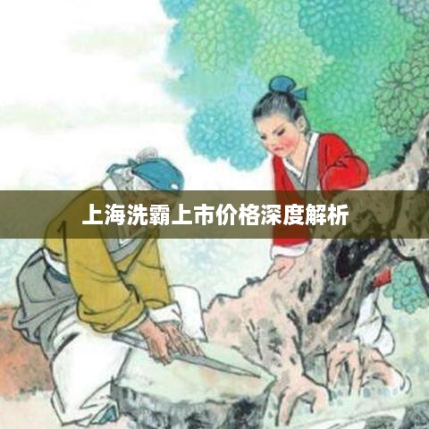 上海洗霸上市价格深度解析