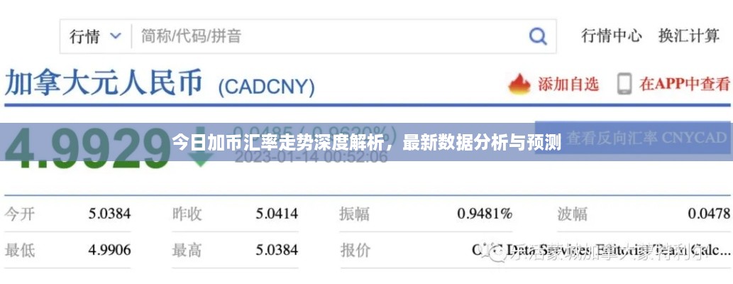 今日加币汇率走势深度解析，最新数据分析与预测