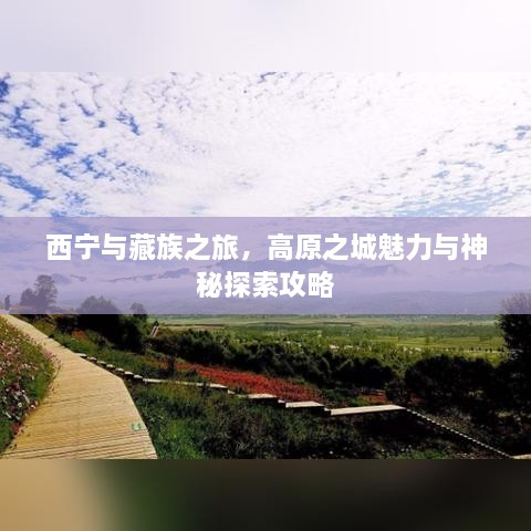 西宁与藏族之旅，高原之城魅力与神秘探索攻略