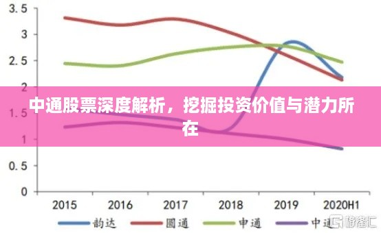 中通股票深度解析，挖掘投资价值与潜力所在