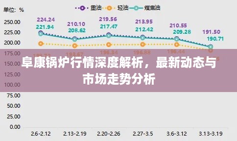 阜康锅炉行情深度解析，最新动态与市场走势分析