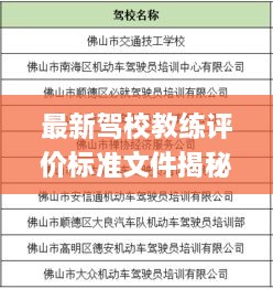 最新驾校教练评价标准文件揭秘，提升教学质量，保障学员权益新应用