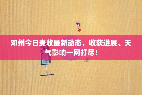 邓州今日麦收最新动态，收获进展、天气影响一网打尽！