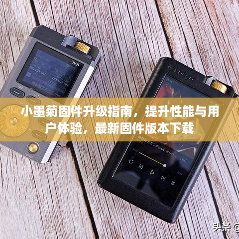 小墨菊固件升级指南，提升性能与用户体验，最新固件版本下载