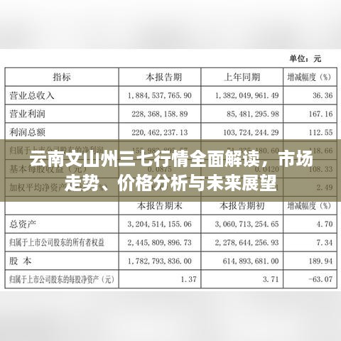 云南文山州三七行情全面解读，市场走势、价格分析与未来展望