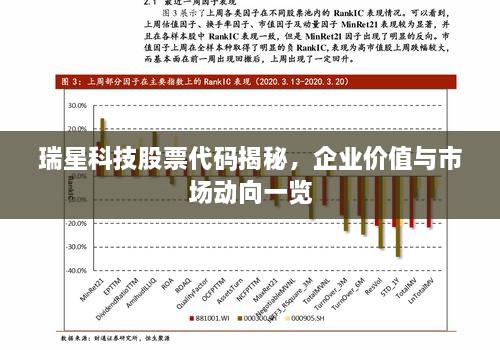 瑞星科技股票代码揭秘，企业价值与市场动向一览