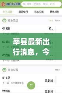 莘县最新出行消息，今日交通动态及实时更新查询