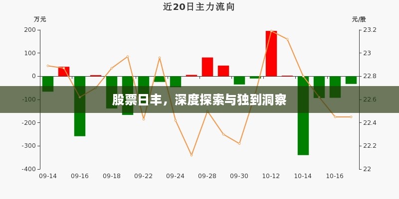 股票日丰，深度探索与独到洞察