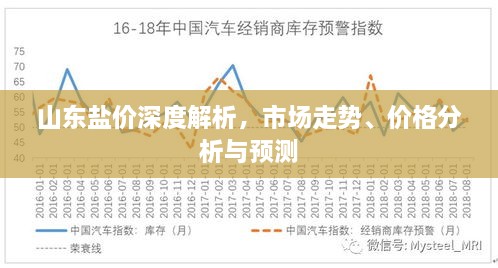 山东盐价深度解析，市场走势、价格分析与预测