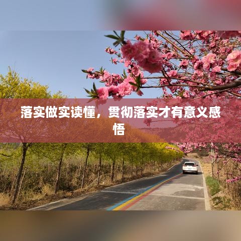 落实做实读懂，贯彻落实才有意义感悟 