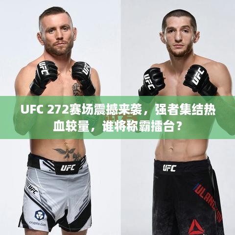 UFC 272赛场震撼来袭，强者集结热血较量，谁将称霸擂台？