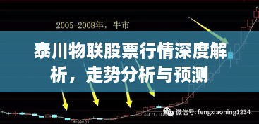 泰川物联股票行情深度解析，走势分析与预测