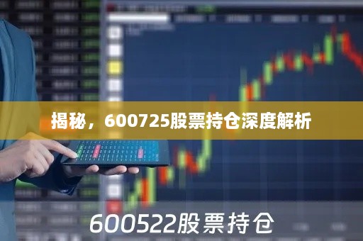 揭秘，600725股票持仓深度解析