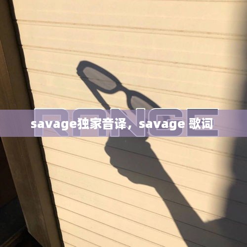 savage独家音译，savage 歌词 