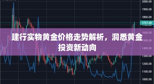 建行实物黄金价格走势解析，洞悉黄金投资新动向