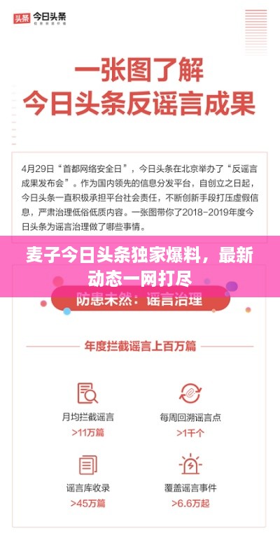 麦子今日头条独家爆料，最新动态一网打尽