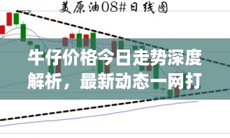 牛仔价格今日走势深度解析，最新动态一网打尽