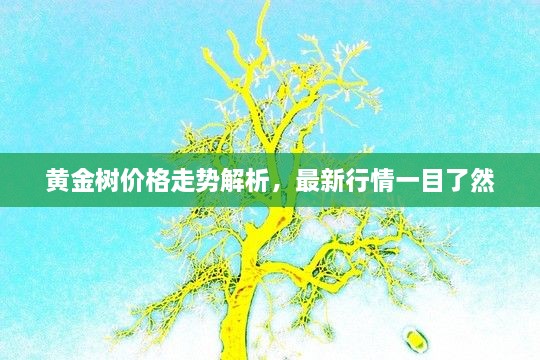 黄金树价格走势解析，最新行情一目了然