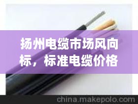 扬州电缆市场风向标，标准电缆价格行情一网打尽