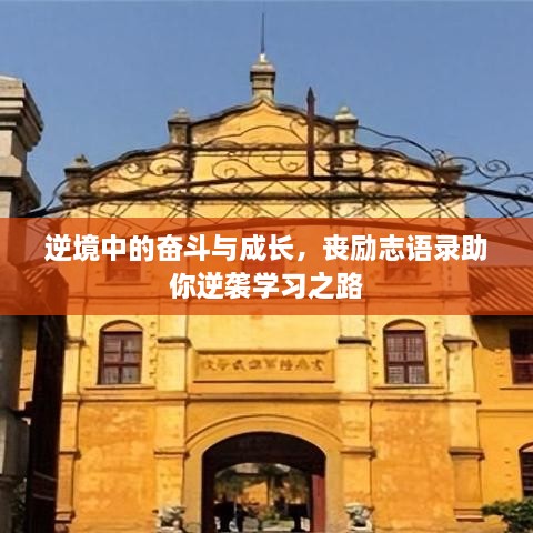 逆境中的奋斗与成长，丧励志语录助你逆袭学习之路