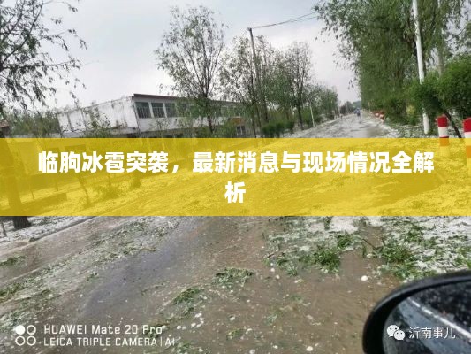 临朐冰雹突袭，最新消息与现场情况全解析