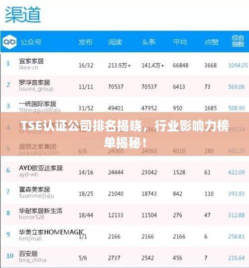 TSE认证公司排名揭晓，行业影响力榜单揭秘！