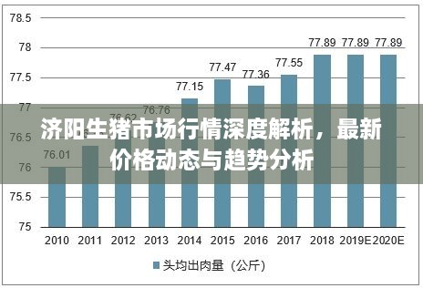 济阳生猪市场行情深度解析，最新价格动态与趋势分析