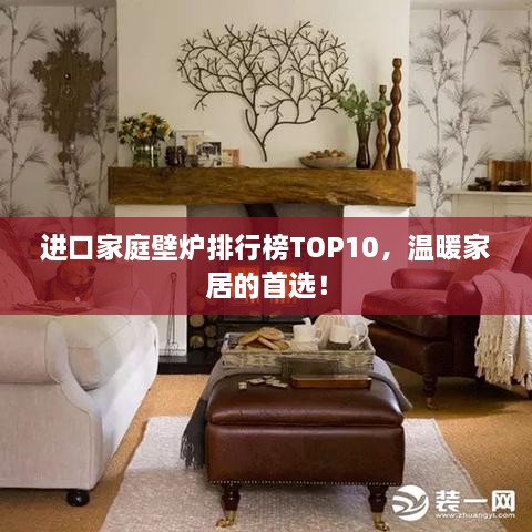 进口家庭壁炉排行榜TOP10，温暖家居的首选！