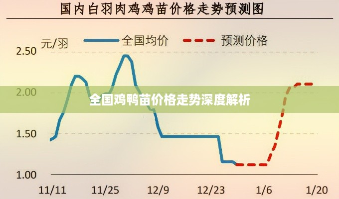 全国鸡鸭苗价格走势深度解析