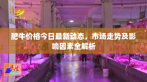 肥牛价格今日最新动态，市场走势及影响因素全解析