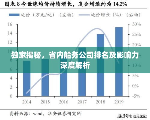 独家揭秘，省内船务公司排名及影响力深度解析