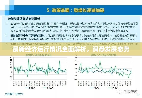 最新经济运行情况全面解析，洞悉发展态势