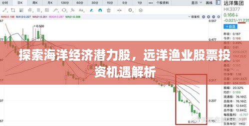 探索海洋经济潜力股，远洋渔业股票投资机遇解析