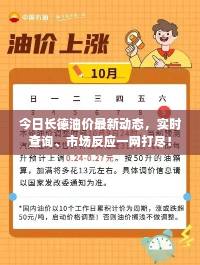 今日长德油价最新动态，实时查询、市场反应一网打尽！