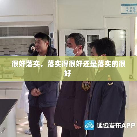 很好落实，落实得很好还是落实的很好 