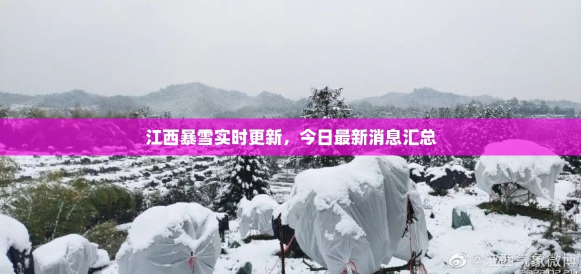 江西暴雪实时更新，今日最新消息汇总