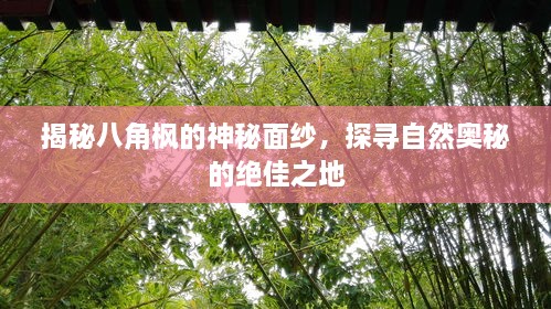 揭秘八角枫的神秘面纱，探寻自然奥秘的绝佳之地