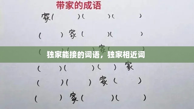 独家能接的词语，独家相近词 