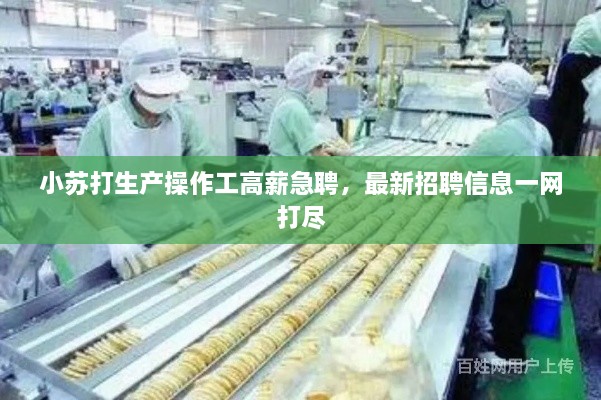 小苏打生产操作工高薪急聘，最新招聘信息一网打尽