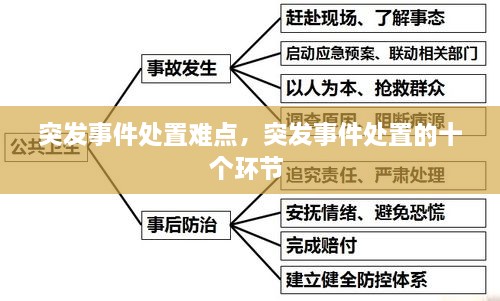 突发事件处置难点，突发事件处置的十个环节 