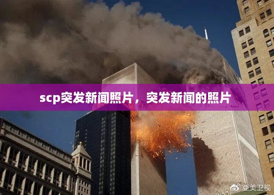 scp突发新闻照片，突发新闻的照片 