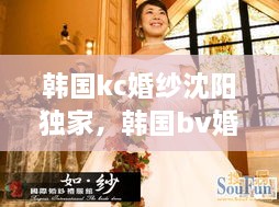 韩国kc婚纱沈阳独家，韩国bv婚纱 