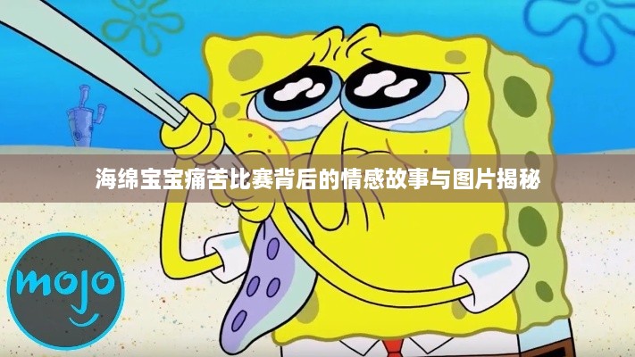 海绵宝宝痛苦比赛背后的情感故事与图片揭秘