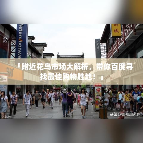 「附近花鸟市场大解析，带你百度寻找最佳购物胜地！」