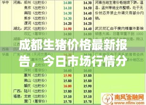 成都生猪价格最新报告，今日市场行情分析