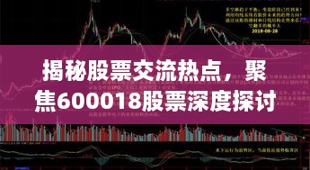 揭秘股票交流热点，聚焦600018股票深度探讨